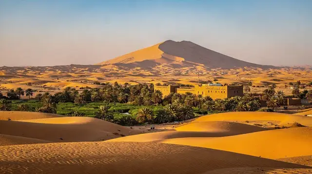 Liwa — the edge of the Empty Quarter