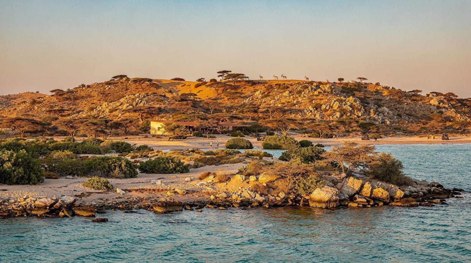 Sir Bani Yas Island — a wildlife reserve off Abu Dhabi's coast, Dubai, UAE