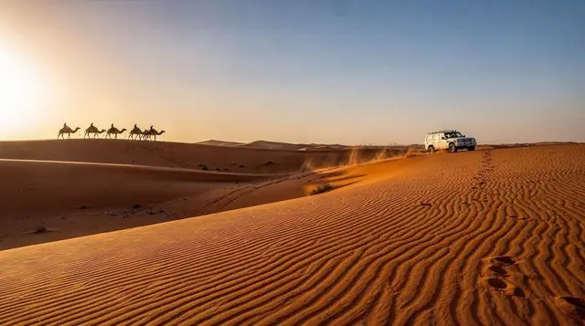 Camel riding in Dubai: what it's really like