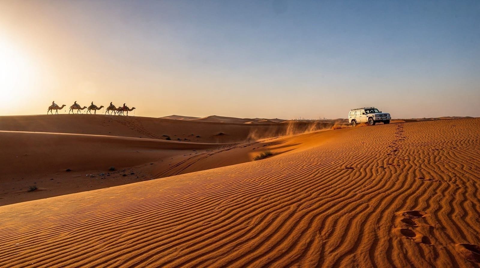 Camel riding in Dubai: what it's really like — What camel riding on a Dubai desert safari involves, the animal-welfare picture 