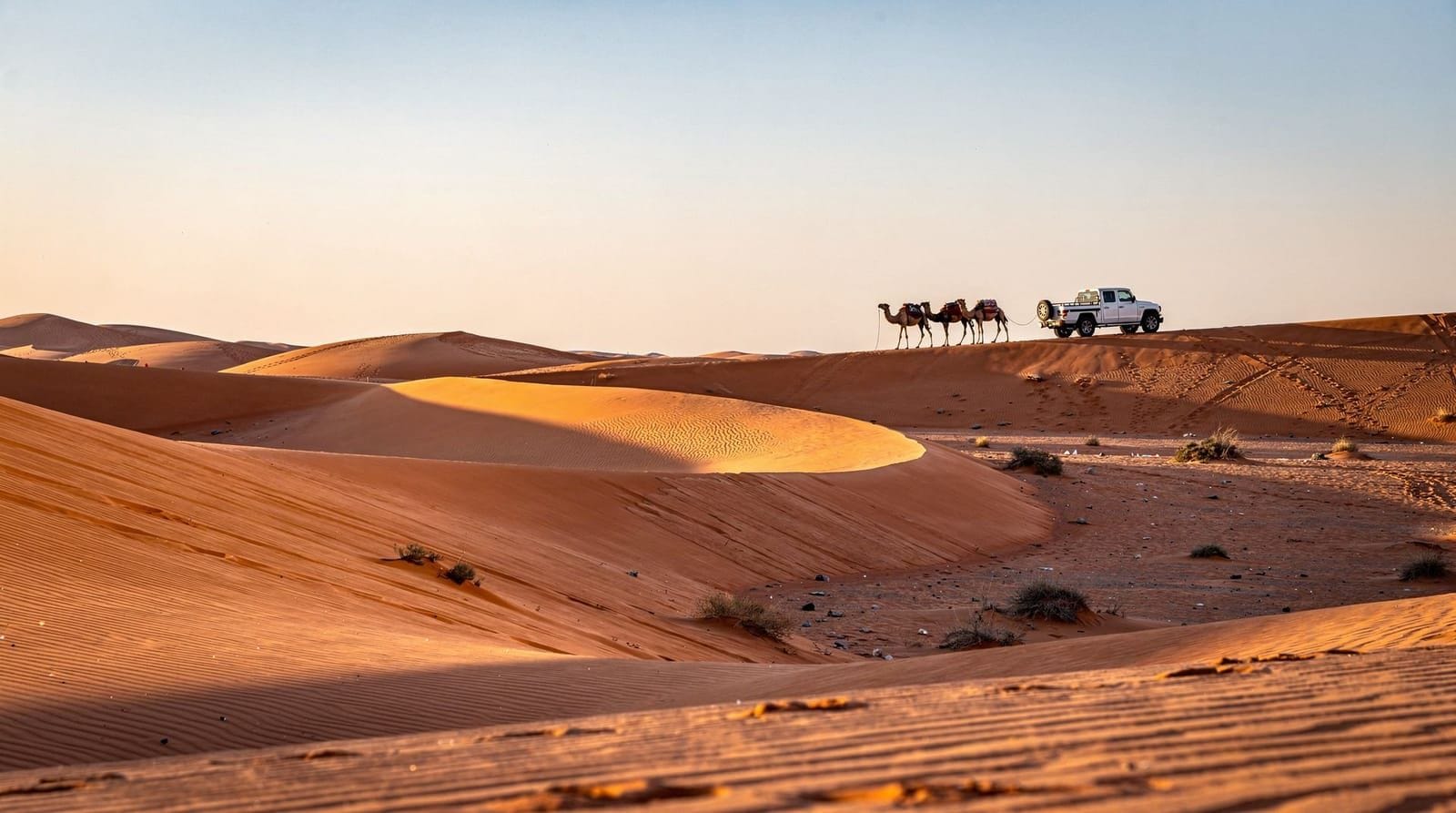 Desert safari scams in Dubai: an honest guide — The real red flags behind Dubai desert safari scams and bait-and-switch listings
