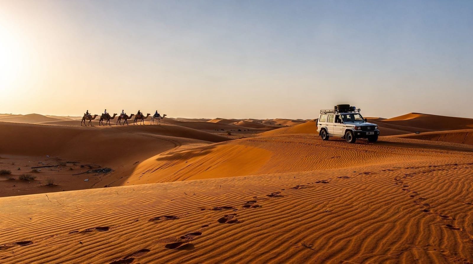 Desert safari — Evening and morning dune safaris, camel rides, overnight desert camps and Bedoui