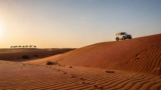 Overnight desert camp in Dubai: what to expect