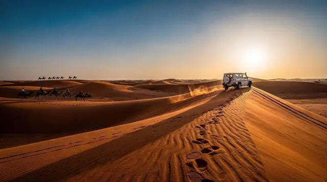 Evening vs morning desert safari: which to book