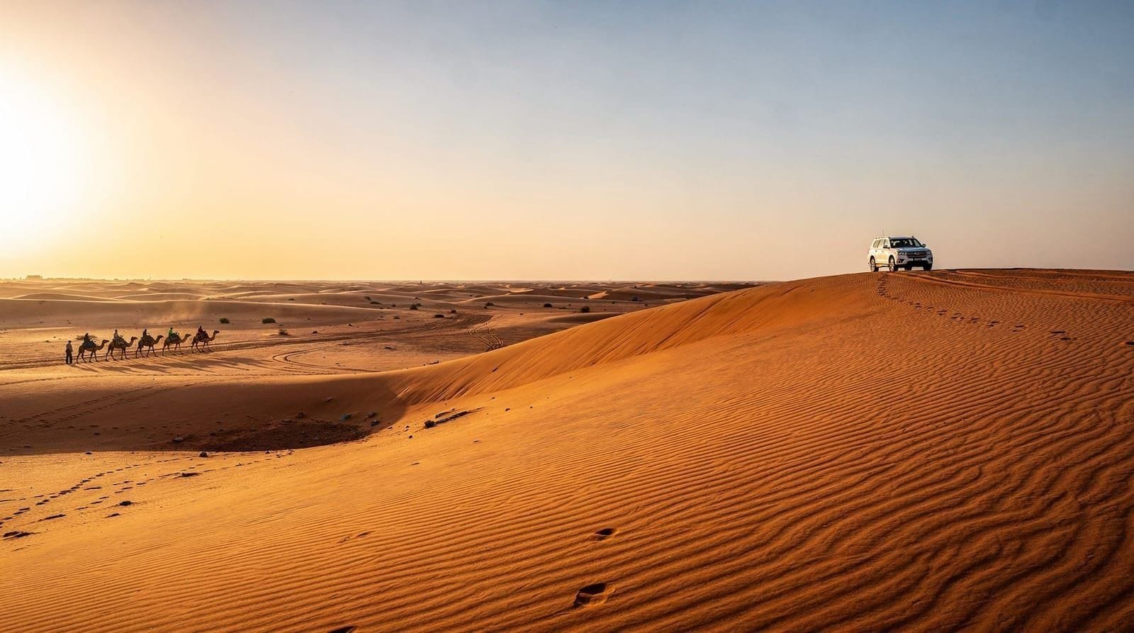 Private vs shared desert safari in Dubai — How private and shared Dubai desert safaris differ in cost, group size, flexibil